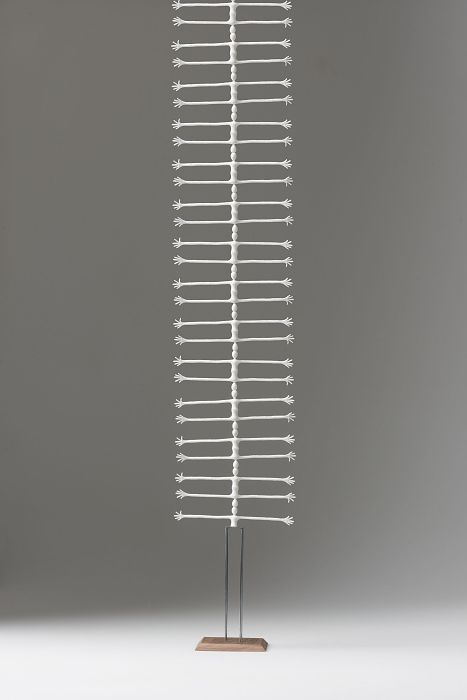 Foto Ruggengraat