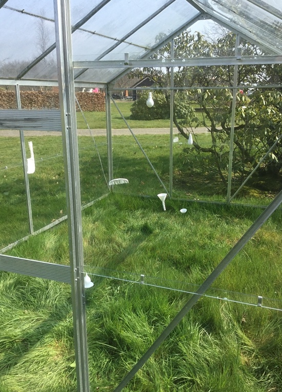 Hanging, picture of objects in a greenhouse, no title